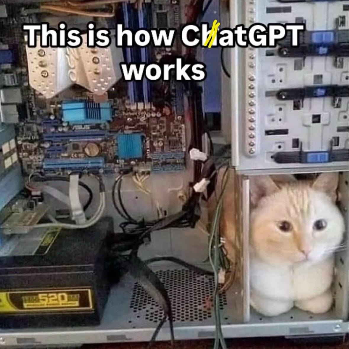 CatGPT.jpeg