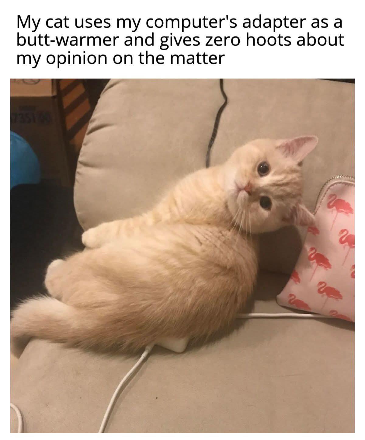 mmbwd8topwrg1.jpeg